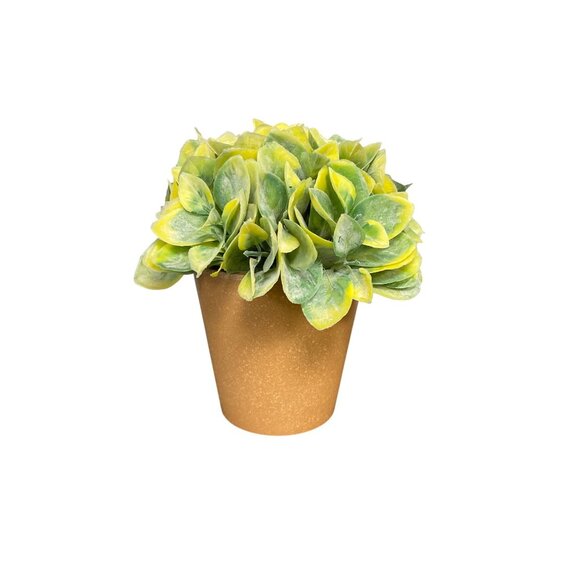 6.5 In. Artificial Potted Succulents In Terracotta-Like Pots With Green & Yellow - Picture 1 of 4